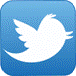 twitter_logo small